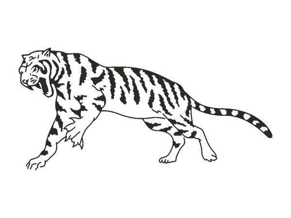 Татуировка 774