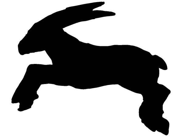 Животные 164