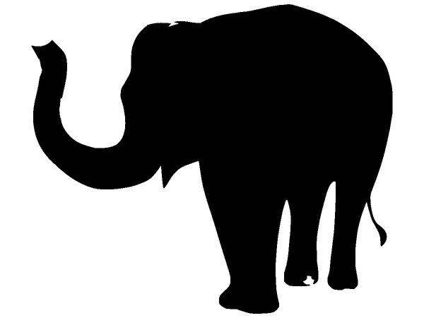 Животные 2144 Животные 2144