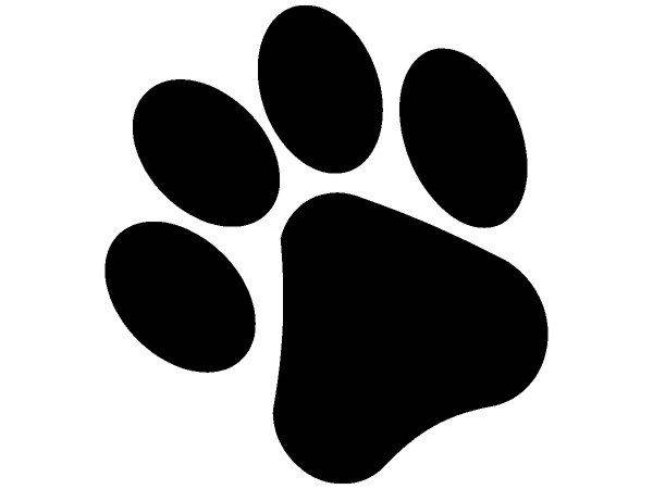 Животные 2199