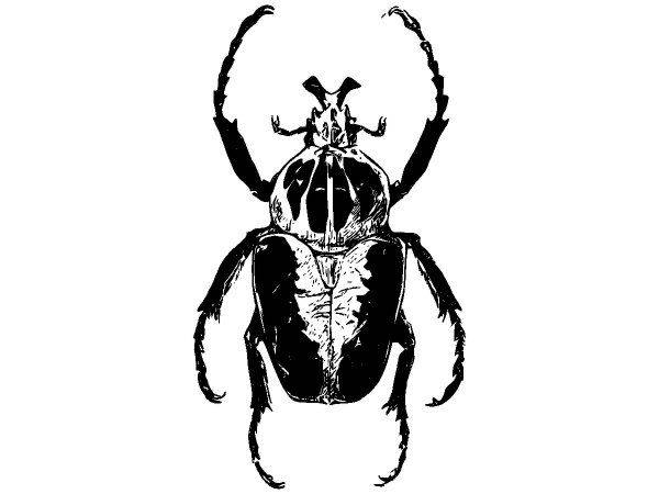 Животные 2730