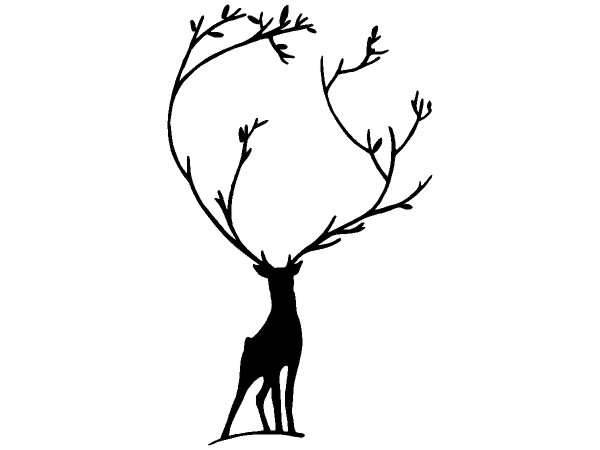 Животные 1339