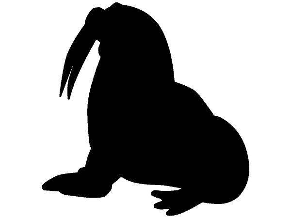 Животные 585 Животные 585