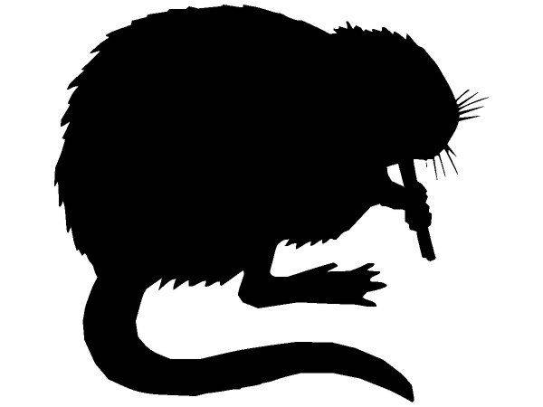 Животные 320