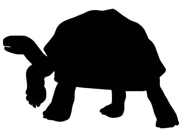 Животные 3234 Животные 3234