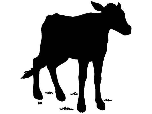 Животные 390