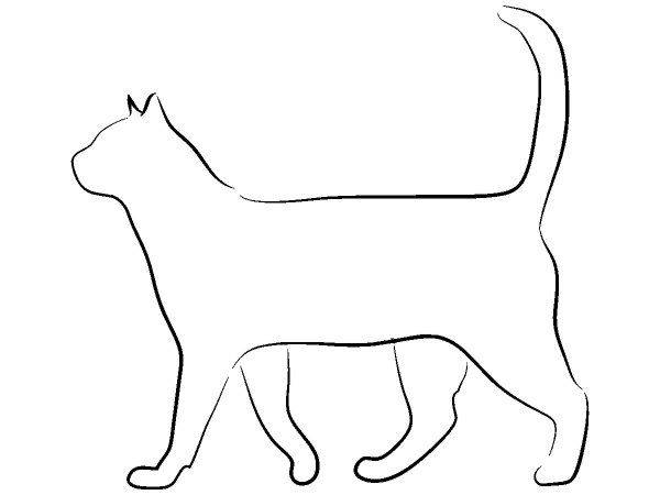 Животные 3290 Животные 3290