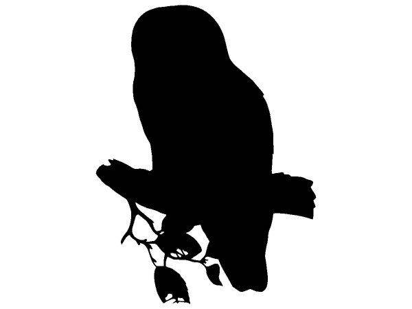 Животные 3373 Животные 3373