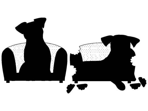 Животные 1213