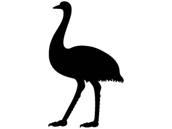 Животные 3627 Животные 3627