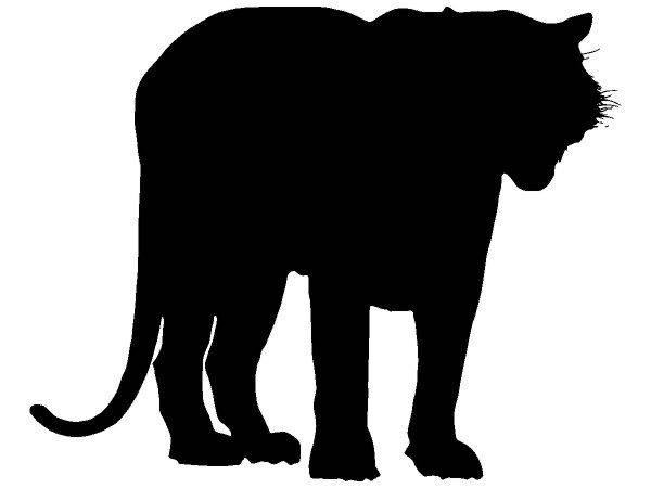 Животные 2242 Животные 2242