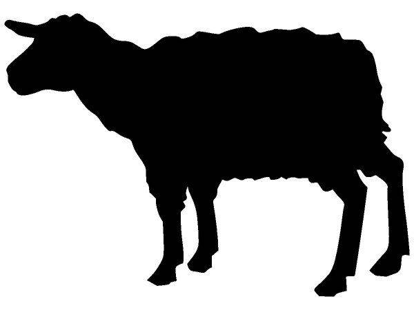 Животные 301 Животные 301