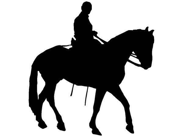 Животные 3560 Животные 3560