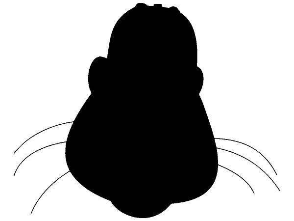 Животные 2363