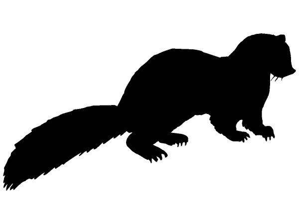 Животные 361