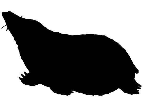 Животные 353