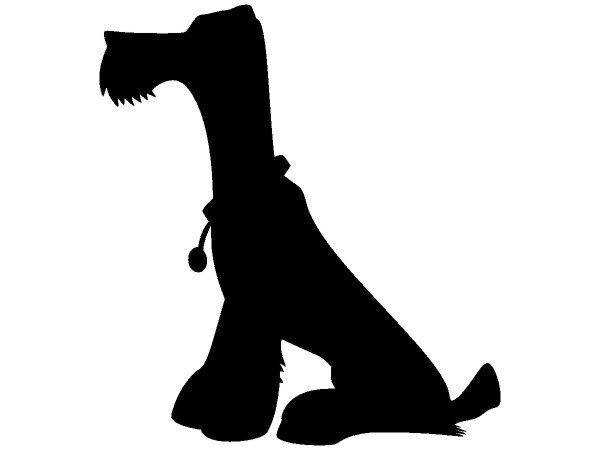 Животные 2806