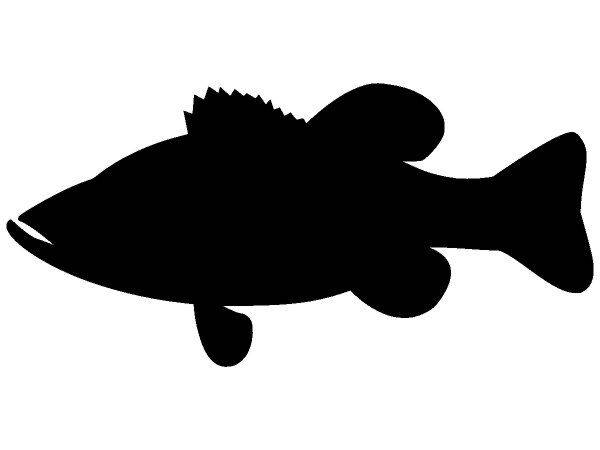 Животные 2966 Животные 2966