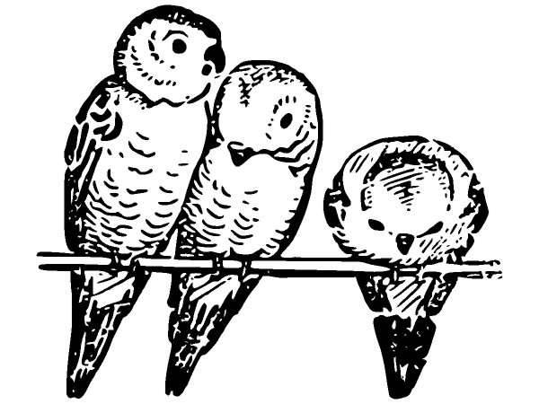 Животные 1285