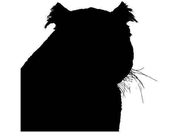 Животные 4003 Животные 4003