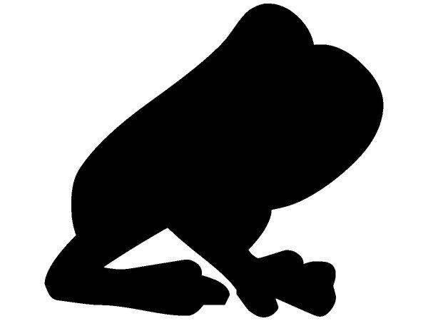 Животные 2770