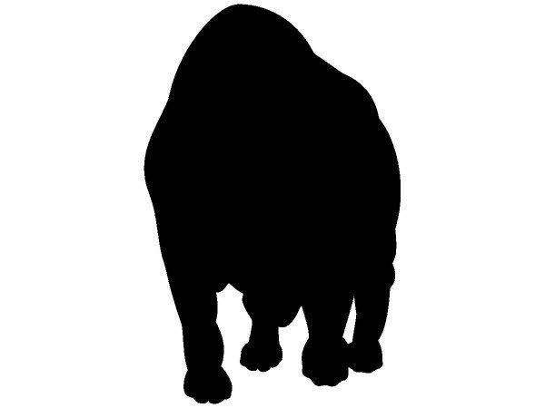 Животные 403