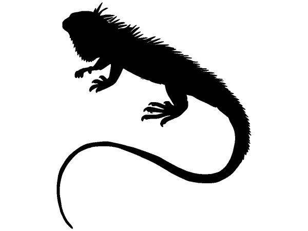 Животные 2188 Животные 2188