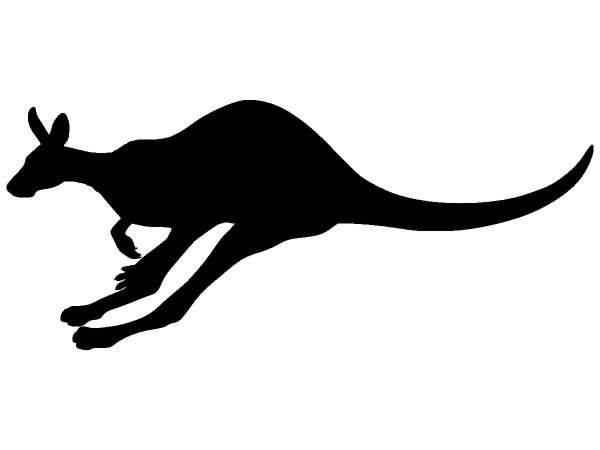 Животные 377