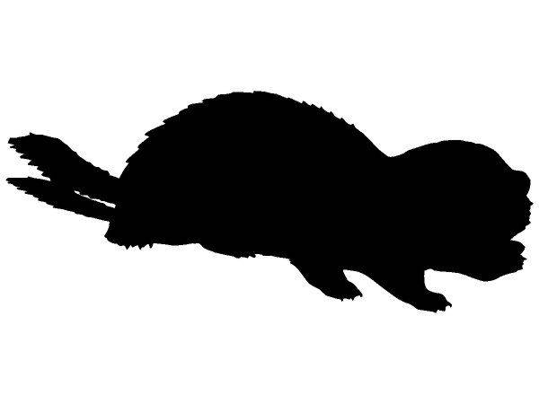 Животные 438