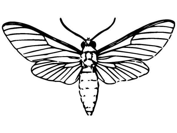 Животные 865