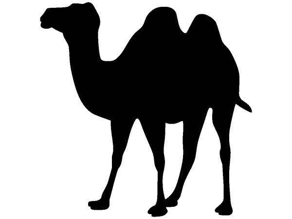 Животные 2906