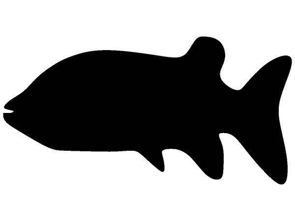 Животные 1592 Животные 1592