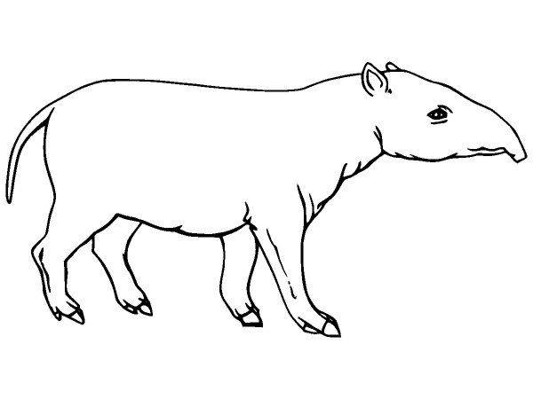 Животные 2683