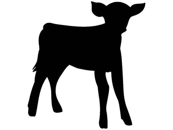 Животные 378 Животные 378