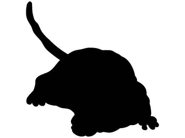 Животные 2506