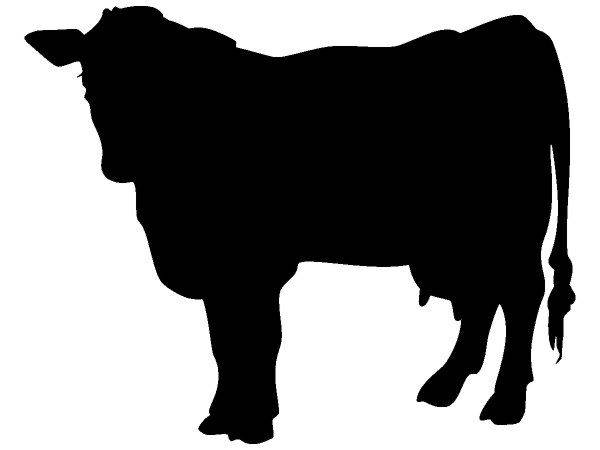 Животные 701 Животные 701