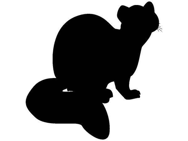 Животные 393