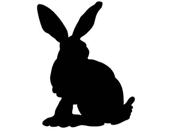 Животные 2420 Животные 2420