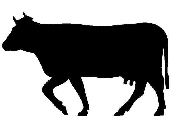 Животные 441