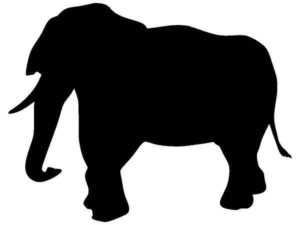 Животные 38 Животные 38