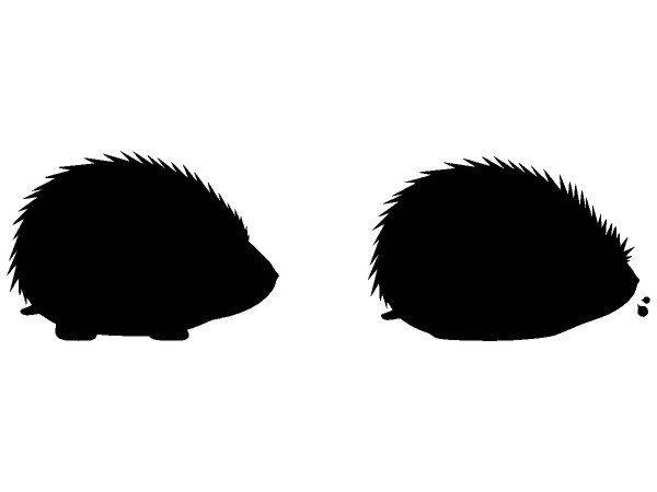 Животные 4126