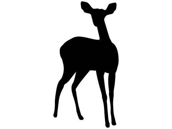 Животные 711 Животные 711