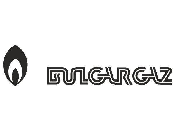 Bilgargaz logo Bilgargaz logo