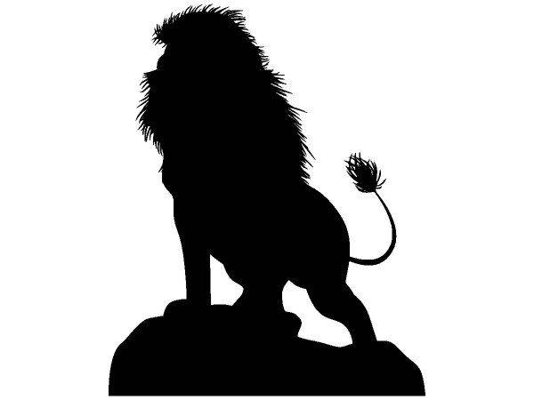 Животные 3228 Животные 3228