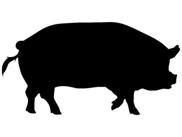 Животные 662