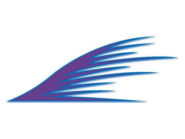 Виниловая наклейка на авто 521