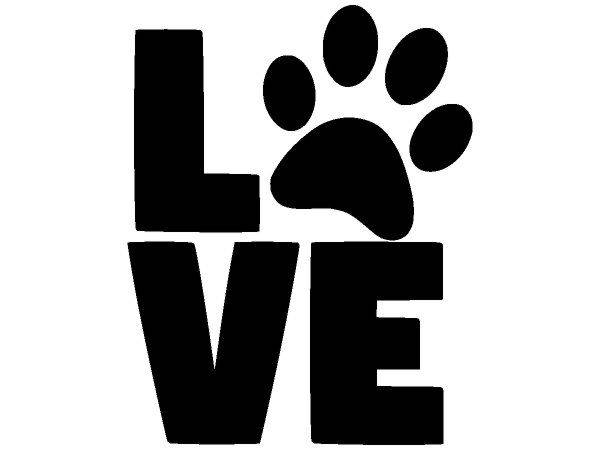 Животные 4080