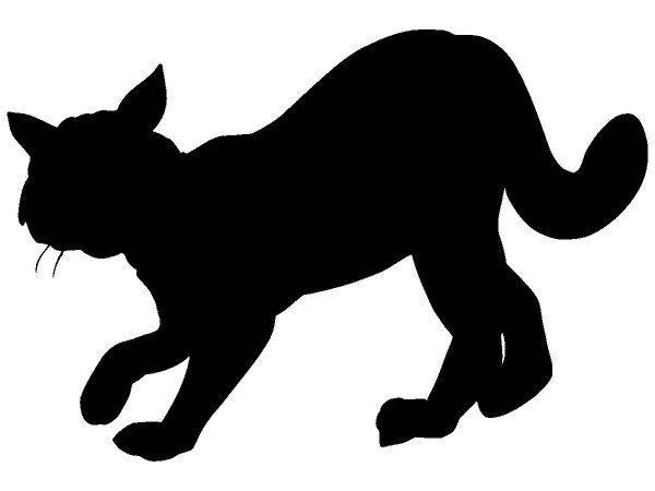 Животные 365