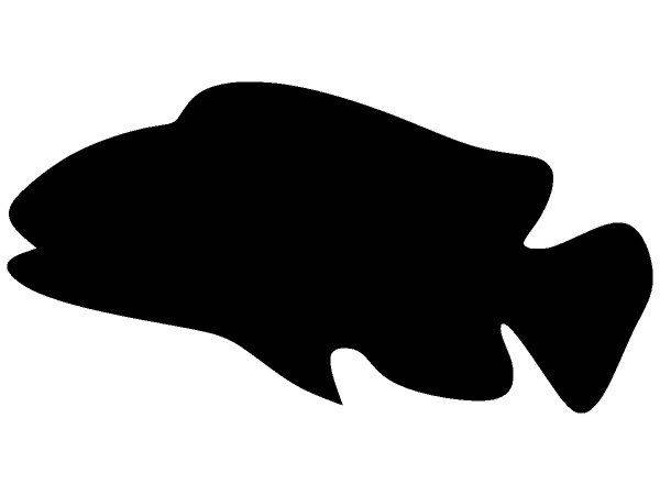 Животные 1595