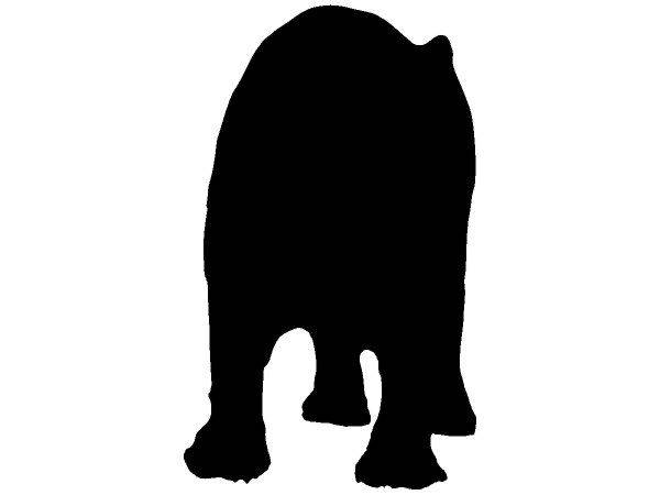 Животные 2331 Животные 2331